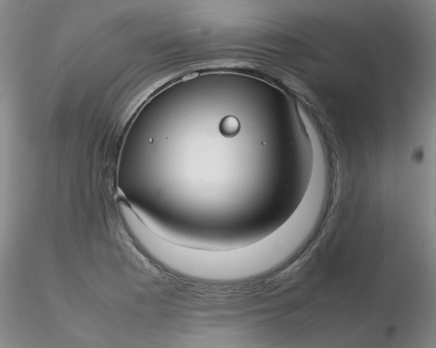 X0000116311177200912211916