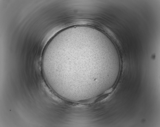 X0000116311178200912211916