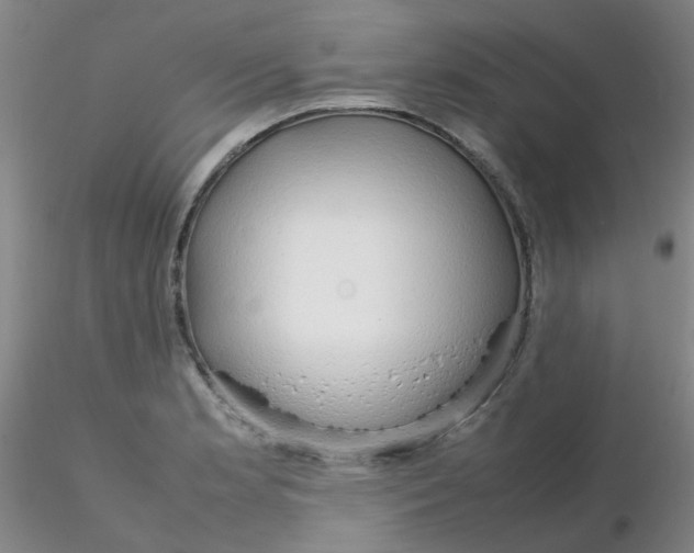 X0000116311181200912211916