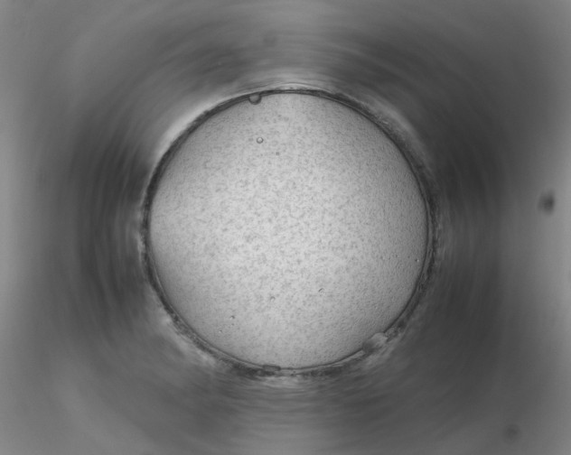 X0000116311182200912211916