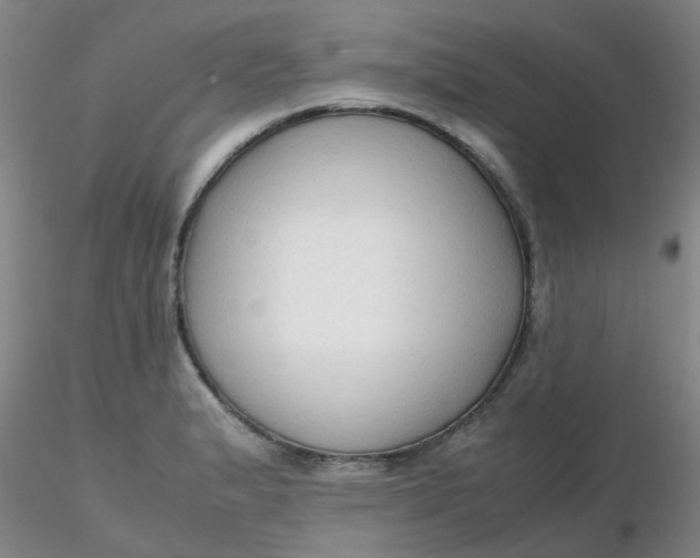 X0000116311183200912211916