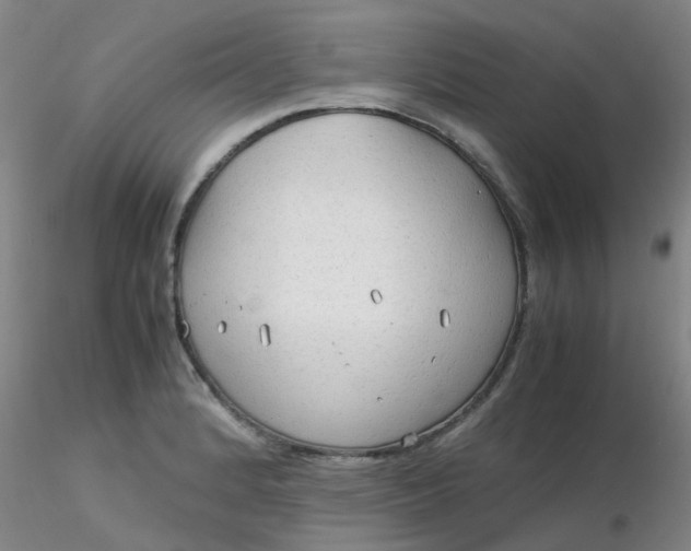 X0000116311184200912211916