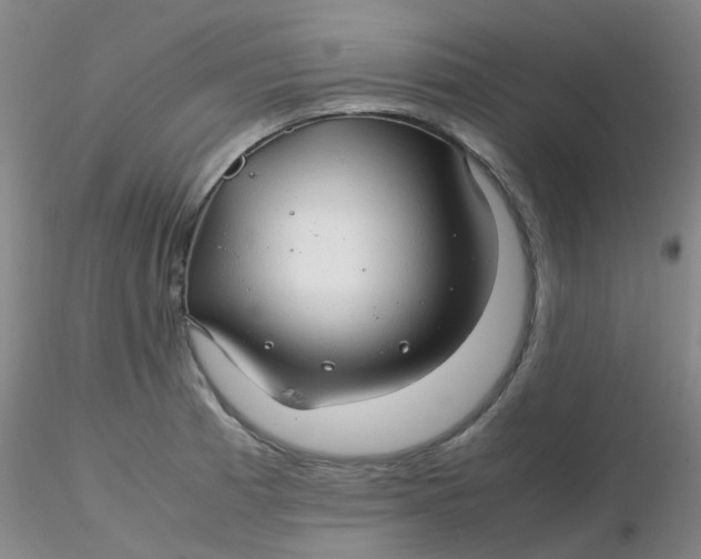 X0000116311185200912211916