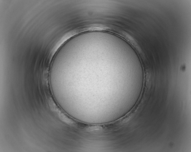 X0000116311186200912211916