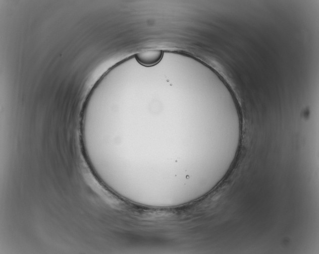 X0000116311187200912211916