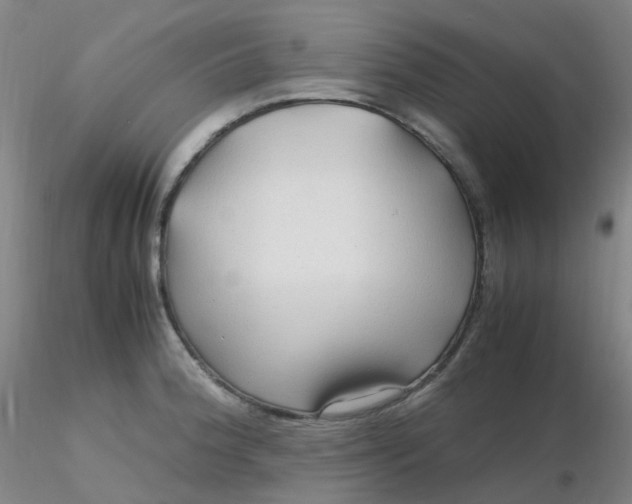 X0000116311188200912211916