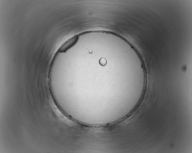 X0000116311189200912211916