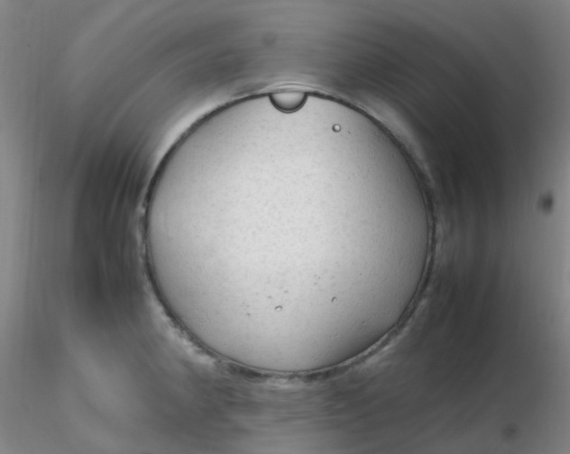 X0000116311190200912211916