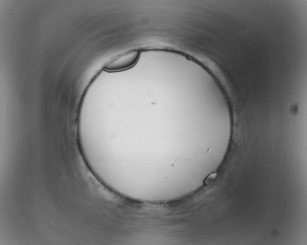 X0000116311191200912211916