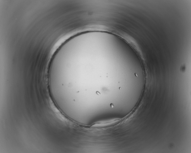 X0000116311192200912211916