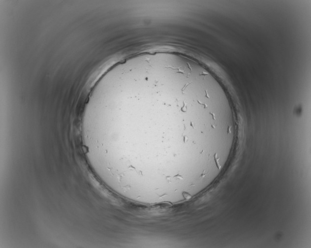 X0000116311193200912211916