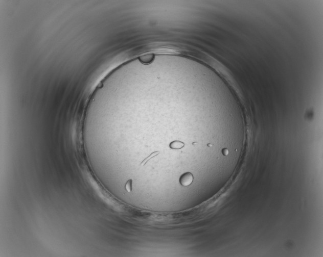 X0000116311194200912211916