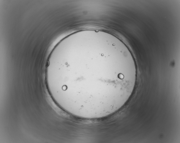 X0000116311195200912211916