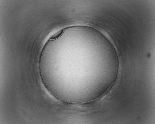 X0000116311197200912211916