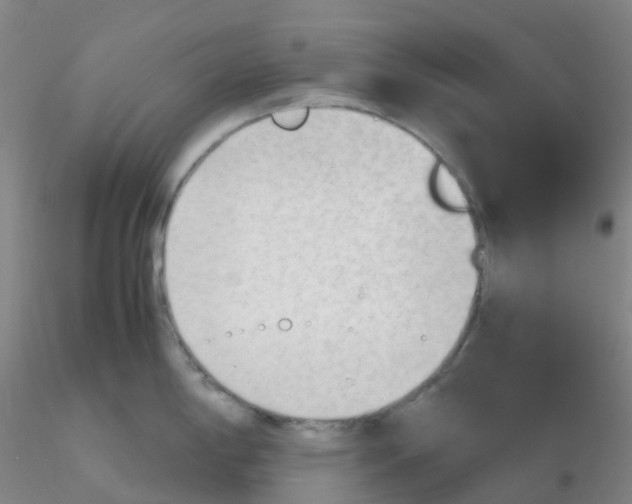 X0000116311198200912211916