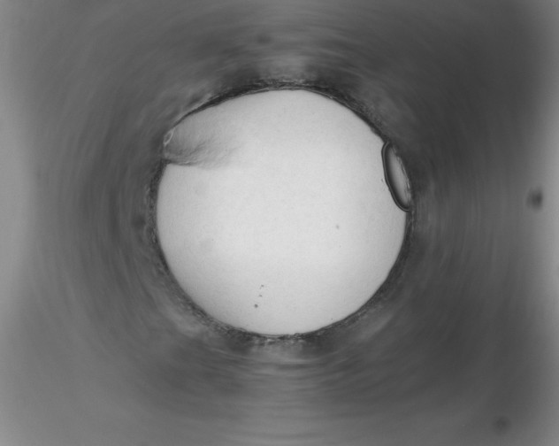 X0000116311201200912211915