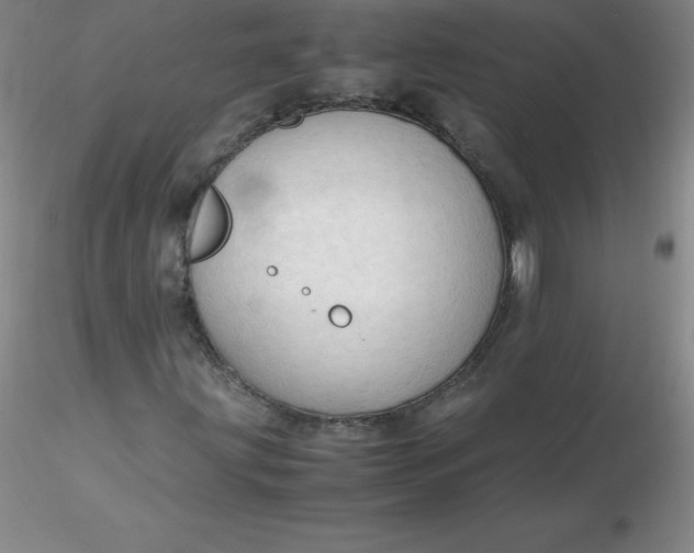 X0000116311203200912211915