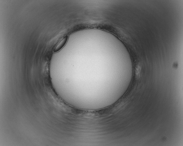 X0000116311204200912211915