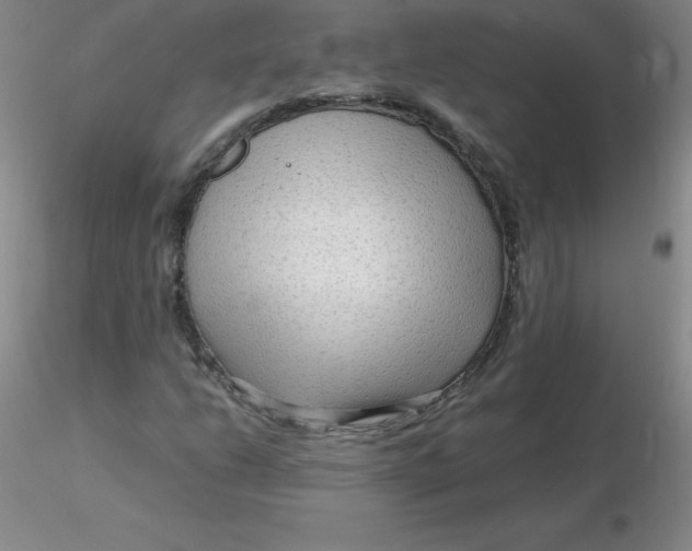 X0000116311206200912211915