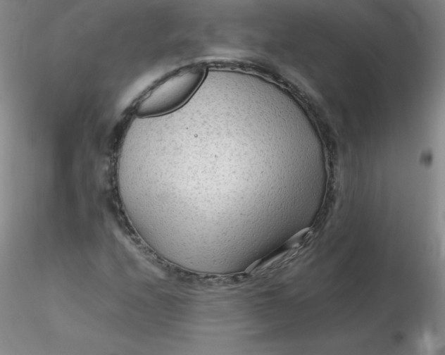 X0000116311208200912211915