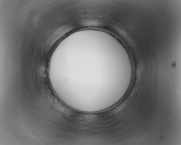 X0000116311209200912211915