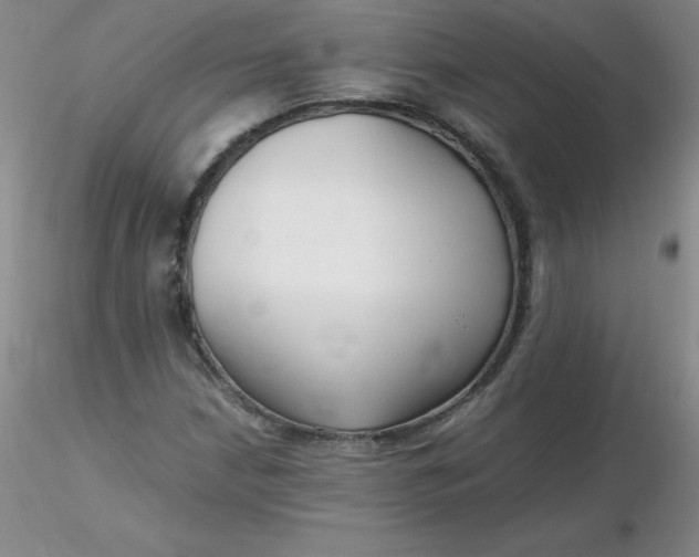 X0000116311210200912211915