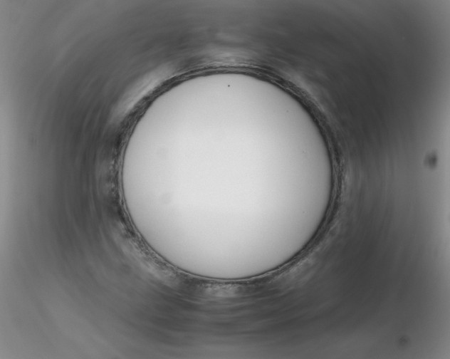 X0000116311211200912211915