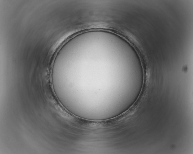 X0000116311212200912211915