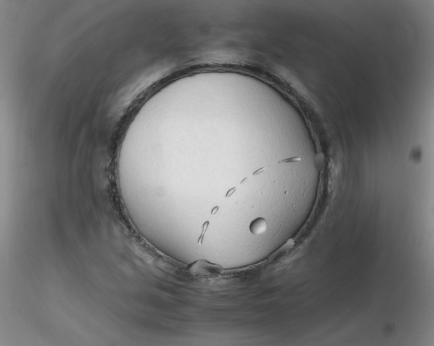 X0000116311213200912211915