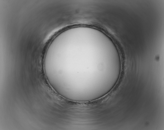 X0000116311214200912211915