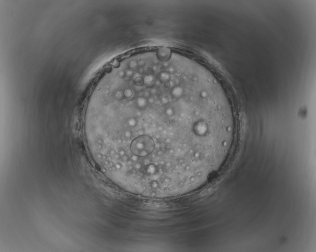 X0000116311215200912211915