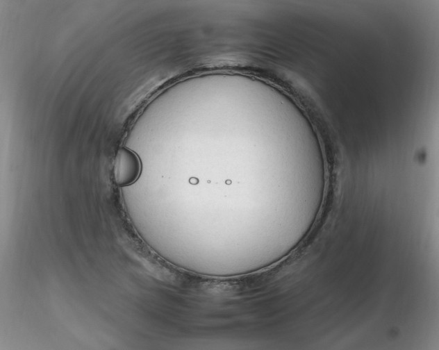 X0000116311217200912211915