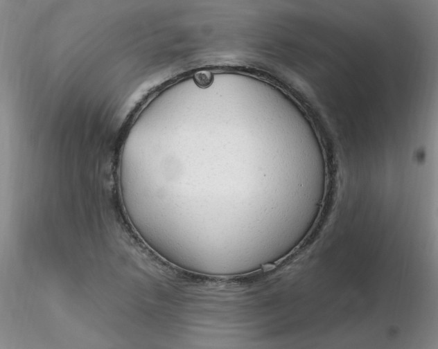 X0000116311218200912211915