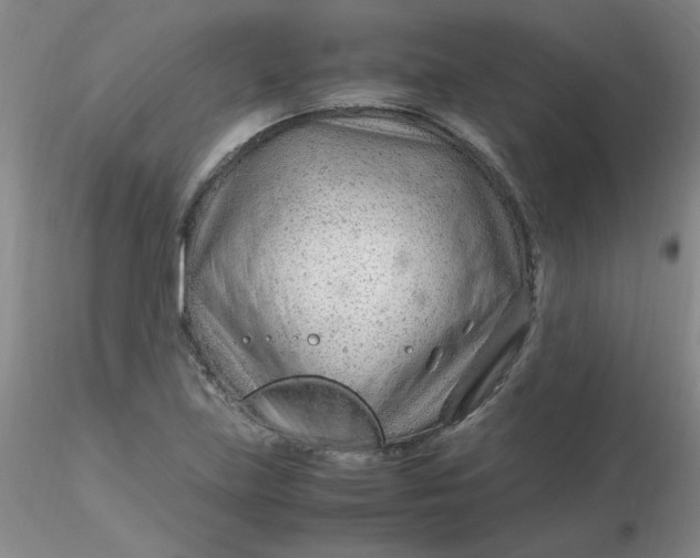 X0000116311219200912211915