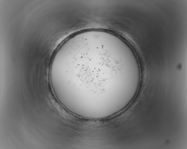 X0000116311220200912211915