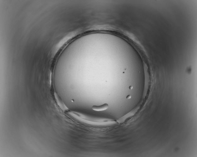 X0000116311221200912211915