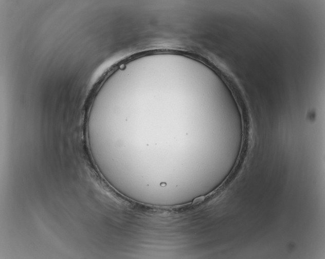 X0000116311222200912211915