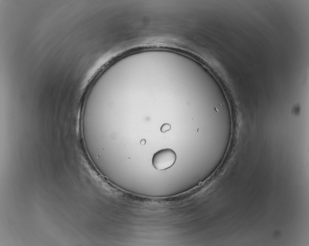 X0000116311224200912211915