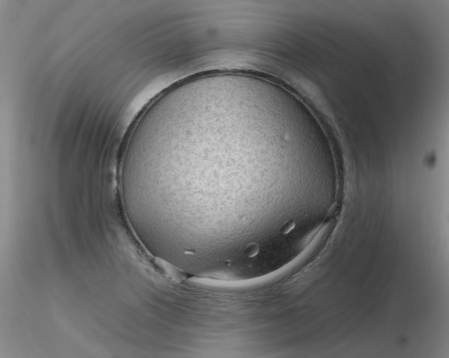 X0000116311226200912211915