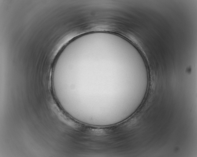 X0000116311227200912211915