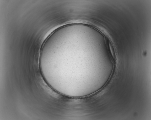 X0000116311228200912211915