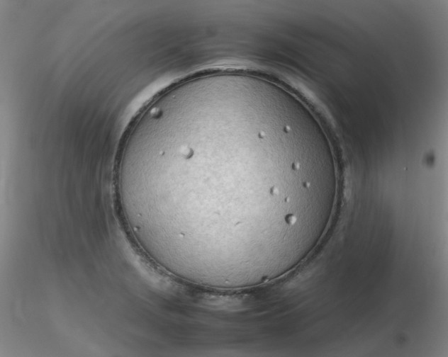 X0000116311229200912211915