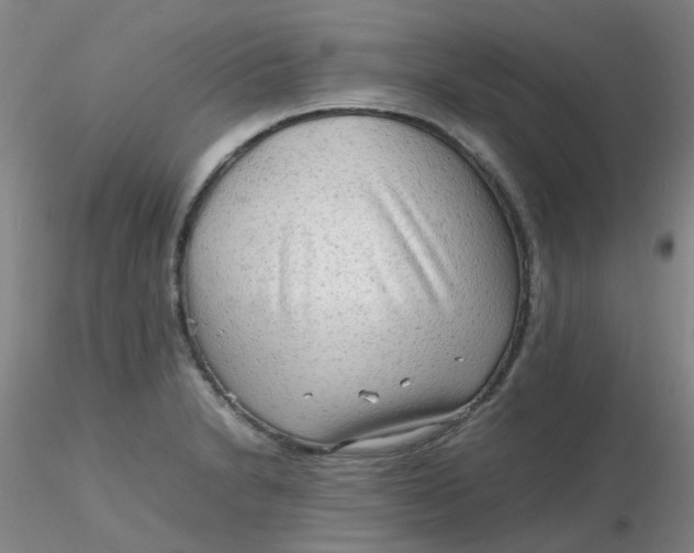 X0000116311230200912211915