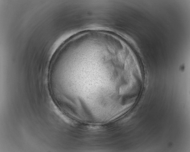 X0000116311231200912211915