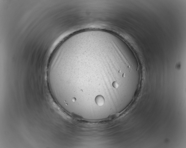 X0000116311232200912211915