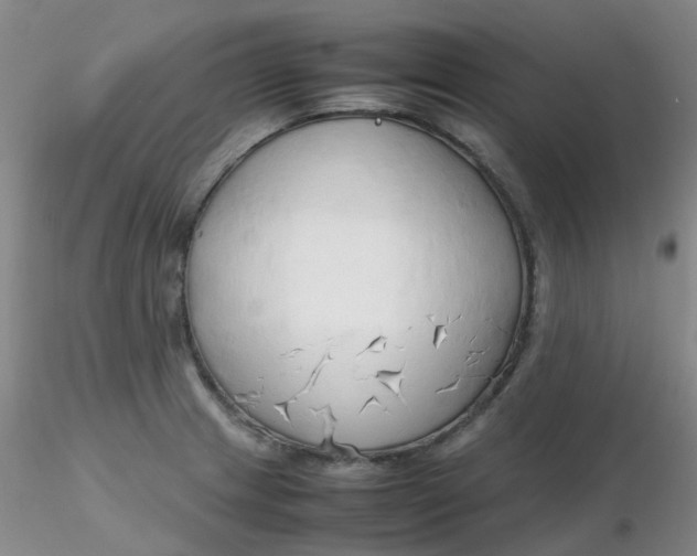 X0000116311233200912211915