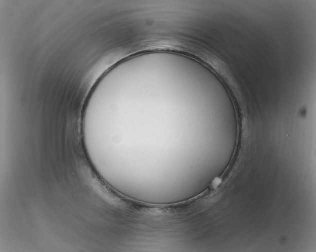 X0000116311234200912211915