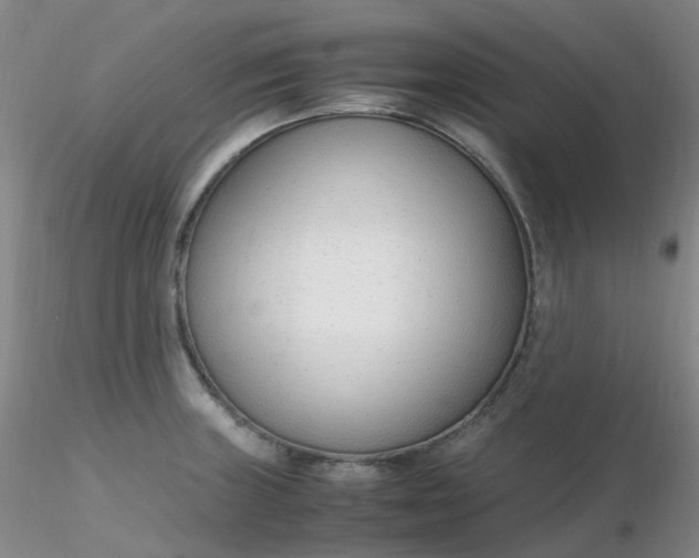 X0000116311235200912211915