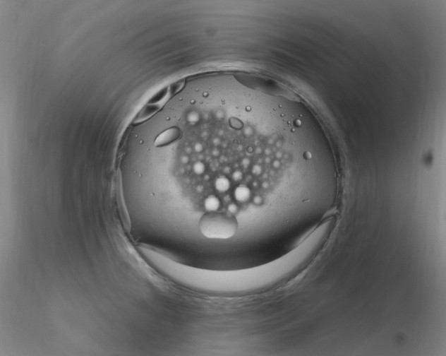 X0000116311236200912211915