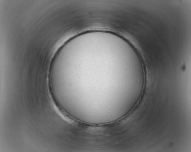 X0000116311237200912211916